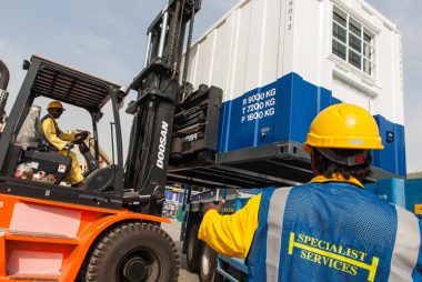 Frozen trees in a lake
